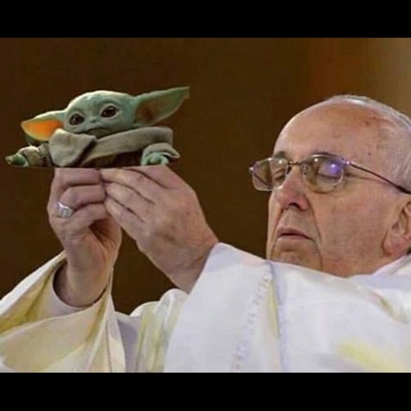 Meet your Posher, Daniel - Picture 4 of 6